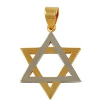 Two Tone Star of David Necklace